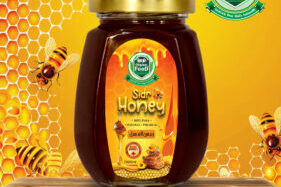 Small Bee sider Honey رئيس العسل Beri honey