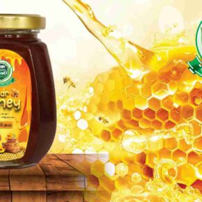 Big Bee Multi Flavor Honey