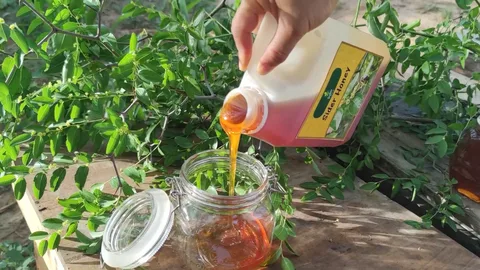 small bee sider Beri honey