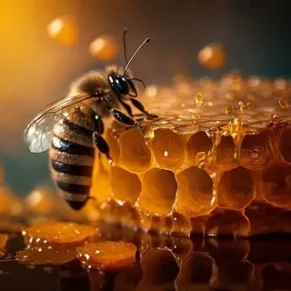 Big Bee Multi Flavor Honey