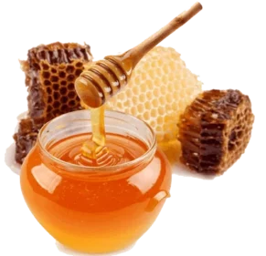 Organic Honey